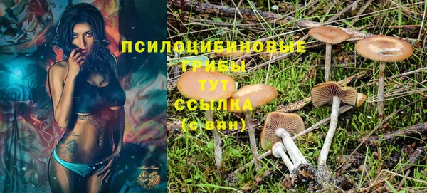 PSILOCYBIN Лагань