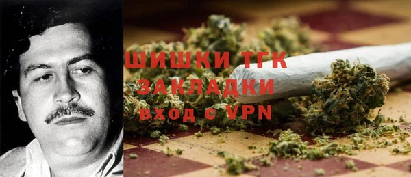 PSILOCYBIN Лагань