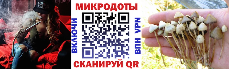 Псилоцибиновые грибы Magic Shrooms  ОМГ ОМГ зеркало  Иноземцево 